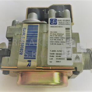 VALVOLA GAS - Codice 6WVALELE00