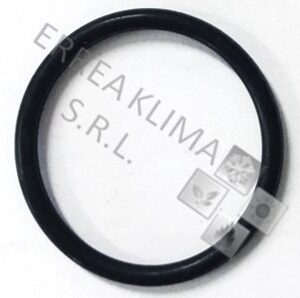 GUARNIZIONE O-RING PORTAUGELLO - 6YGUAROR01