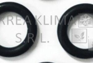 GUARNIZIONE O-RING TUBO USCITA - 6YGUAROR02